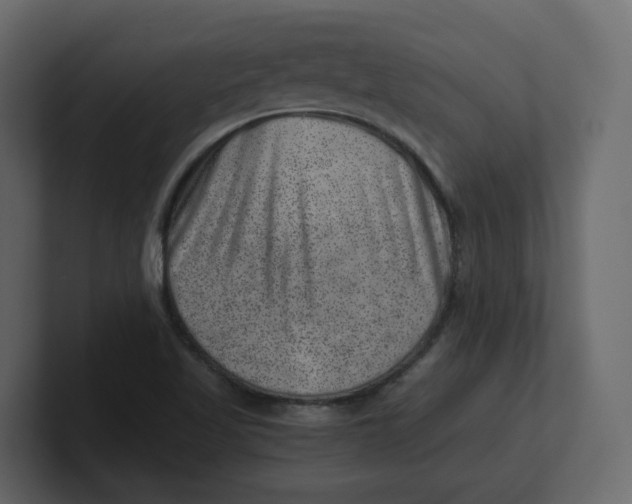 X0000100901509200807151107