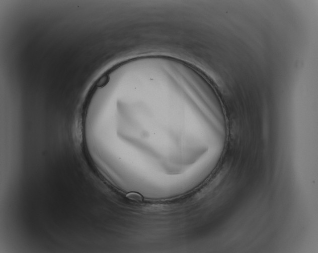 X0000100901510200807151107