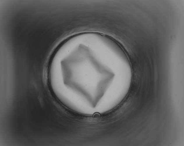 X0000100901511200807151107