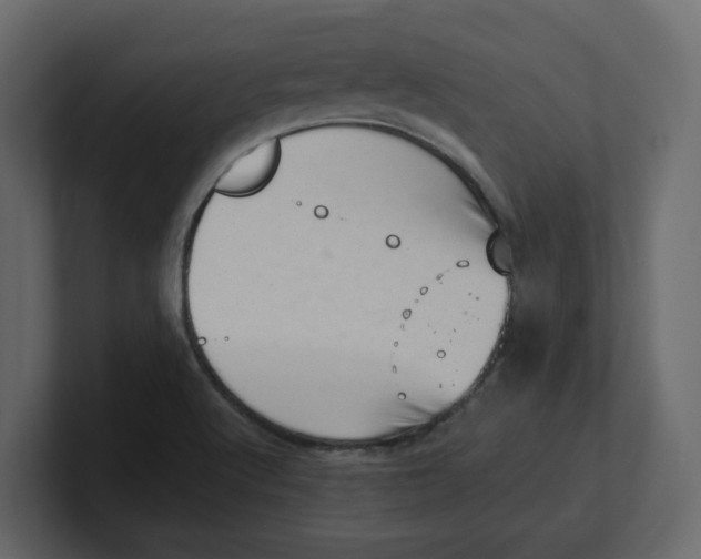 X0000100901512200807151107