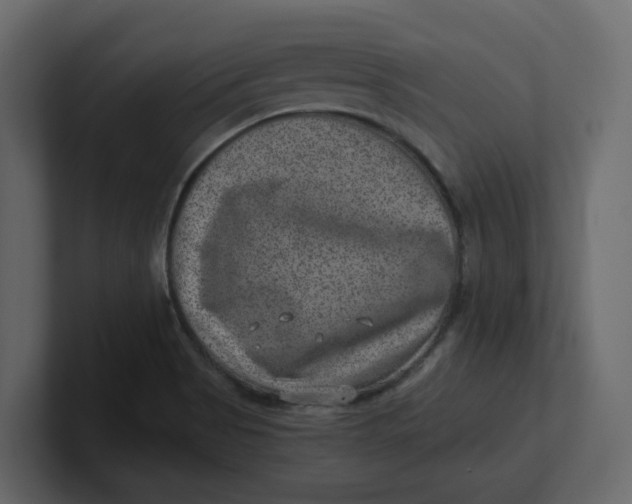 X0000100901513200807151107