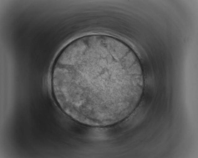 X0000100901514200807151107