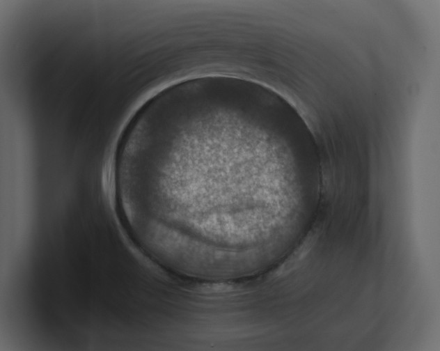 X0000100901515200807151107