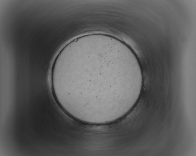 X0000100901516200807151107