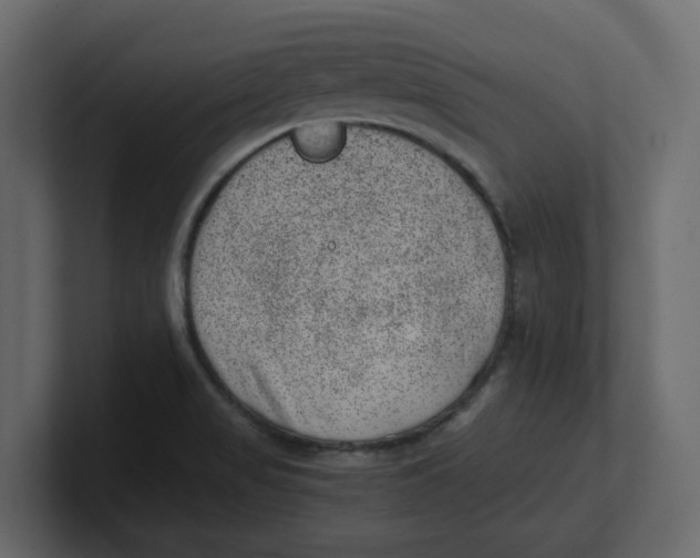 X0000100901517200807151107