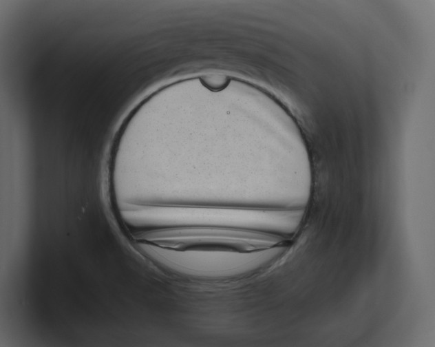 X0000100901518200807151107