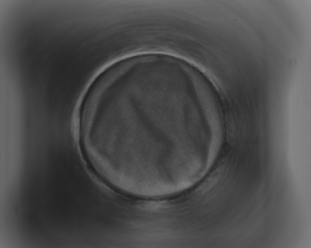 X0000100901519200807151107