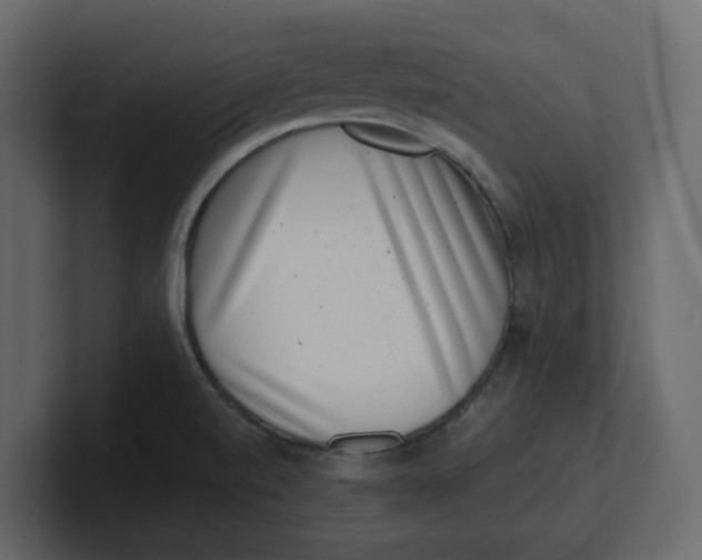 X0000100901520200807151107