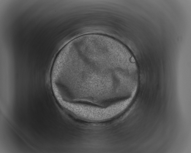 X0000100901521200807151107