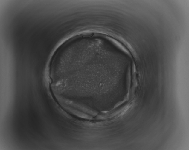 X0000100901522200807151107