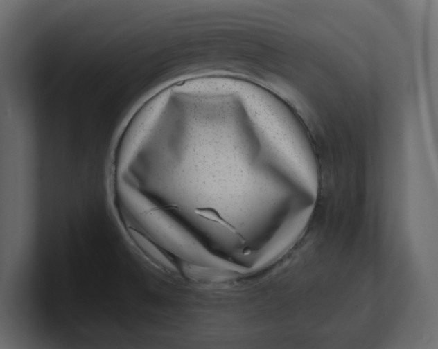 X0000100901524200807151107