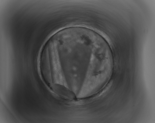 X0000100901525200807151107