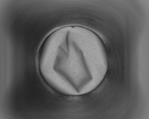 X0000100901526200807151107