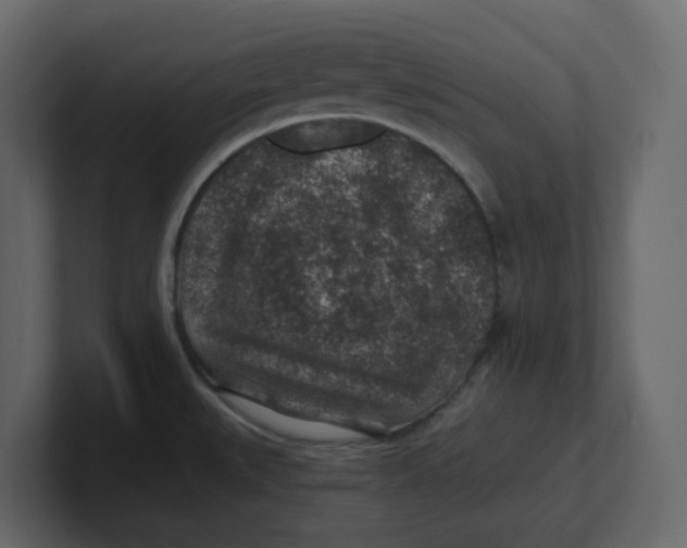 X0000100901527200807151107