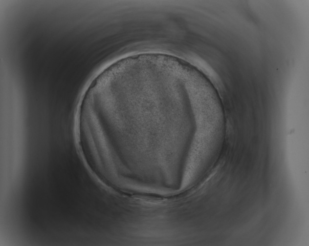 X0000100901528200807151107