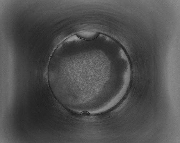 X0000100901529200807151107