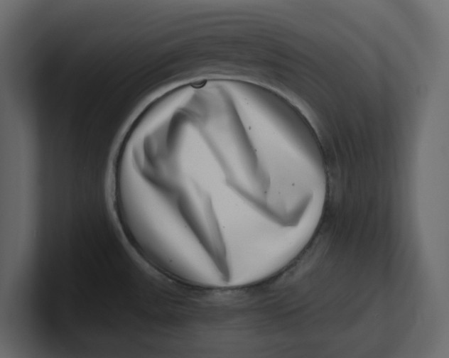 X0000100901531200807151107