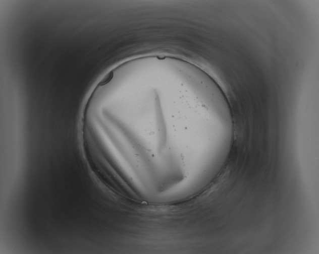 X0000100901532200807151107