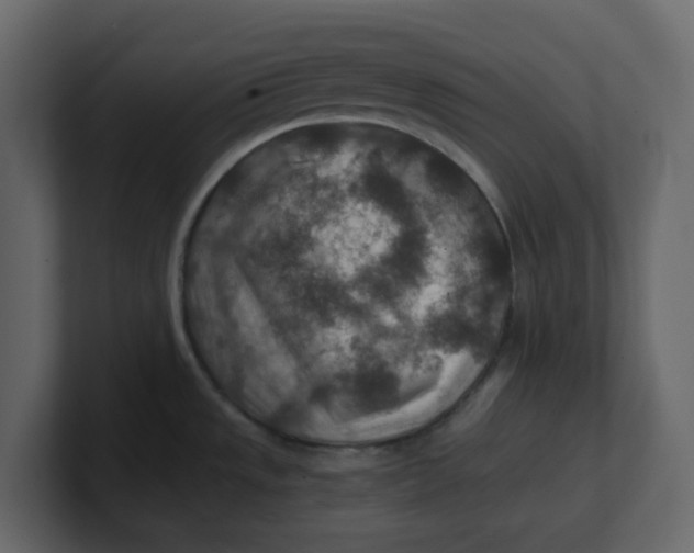 X0000100901533200807151107