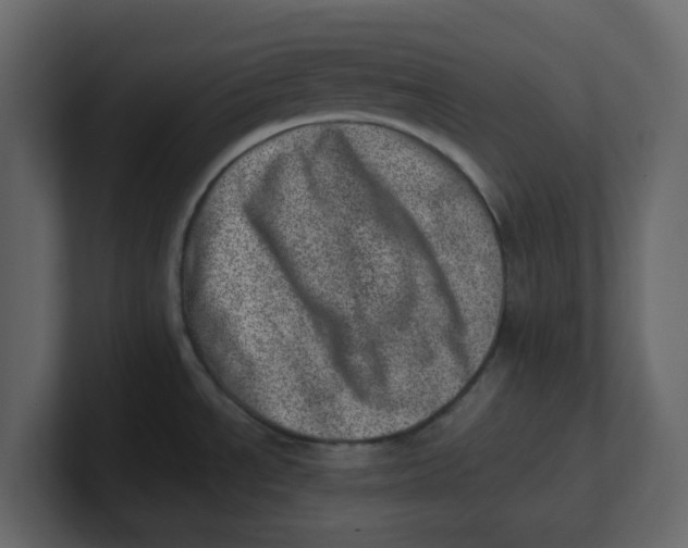 X0000100901534200807151107