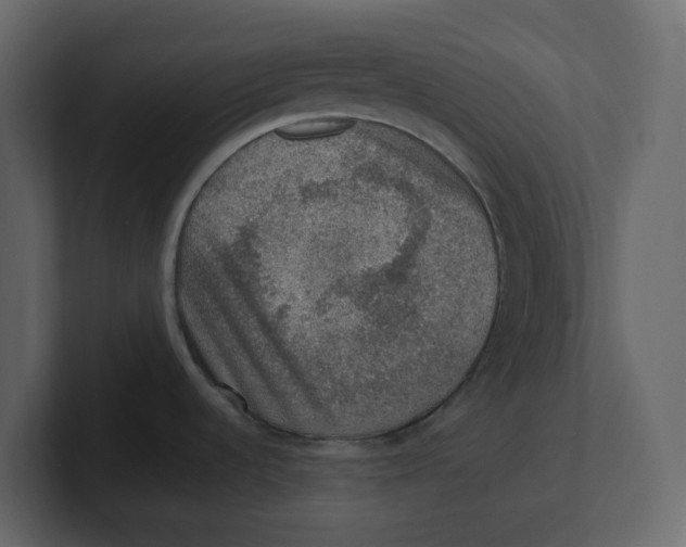 X0000100901536200807151107