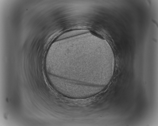 X0000100900001200807221002