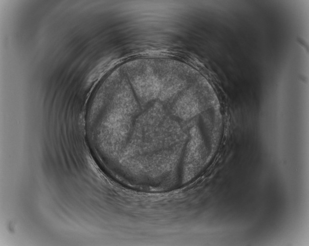 X0000100900002200807221002