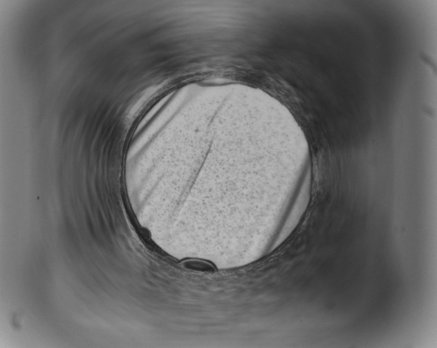 X0000100900003200807221002