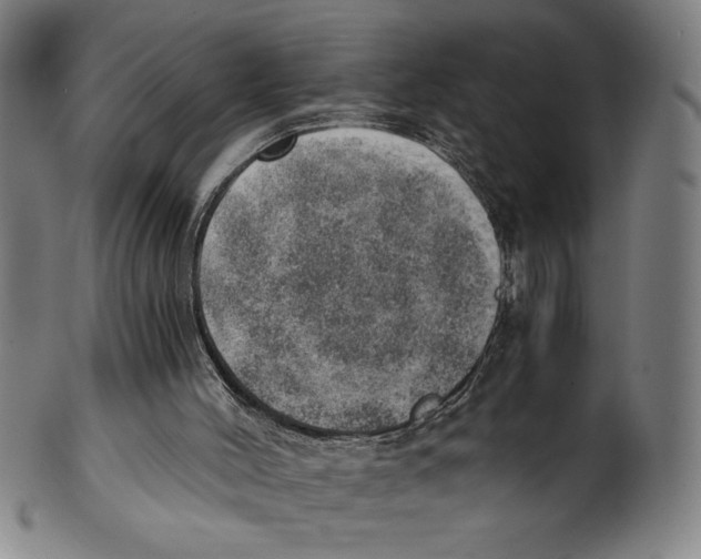 X0000100900004200807221002