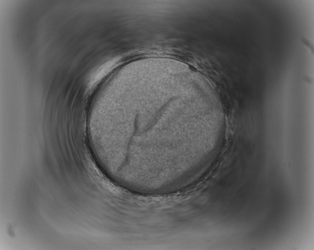 X0000100900005200807221002