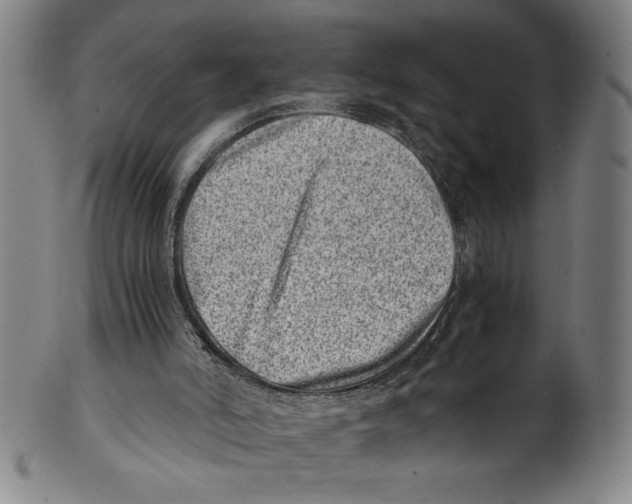 X0000100900006200807221002