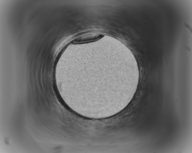 X0000100900007200807221002