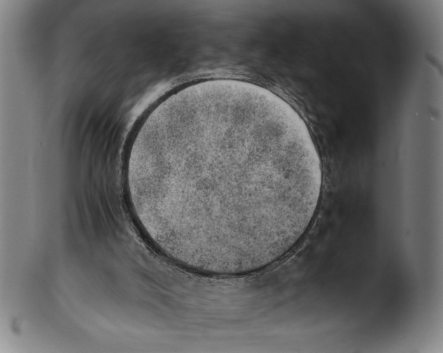 X0000100900008200807221002