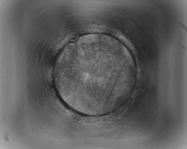 X0000100900009200807221002