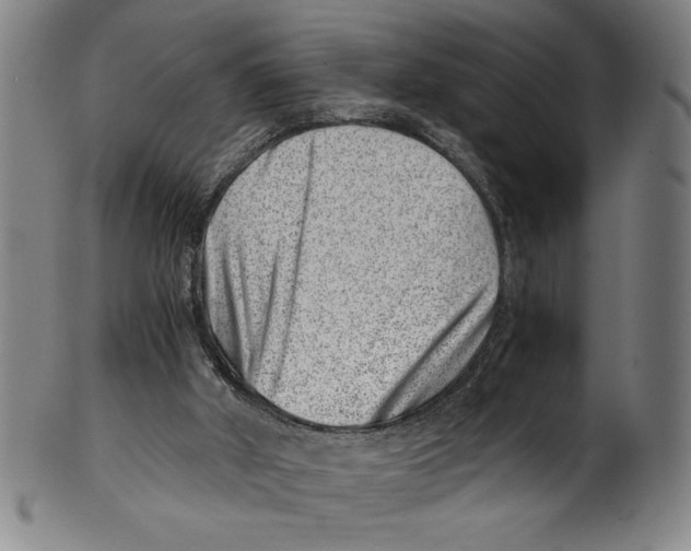 X0000100900010200807221002