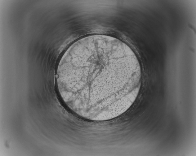 X0000100900011200807221002