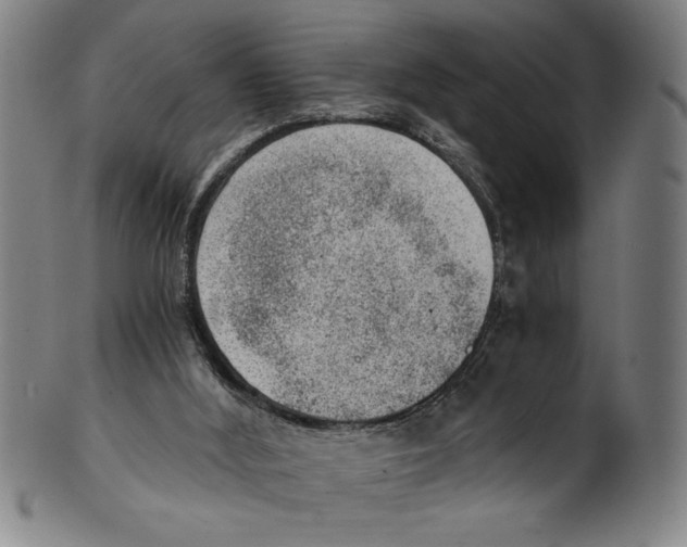 X0000100900012200807221002