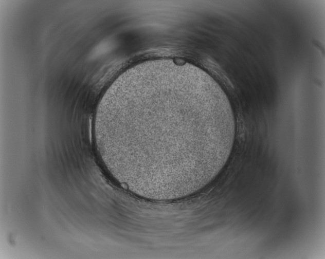 X0000100900014200807221002