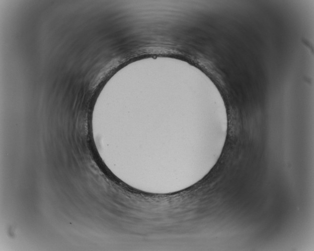 X0000100900015200807221002