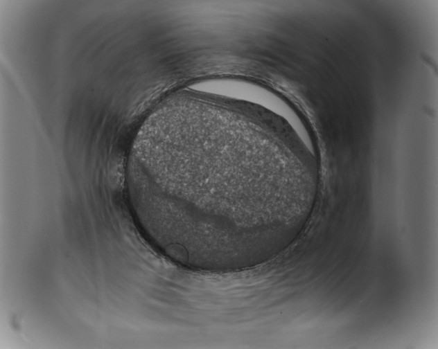 X0000100900017200807221002