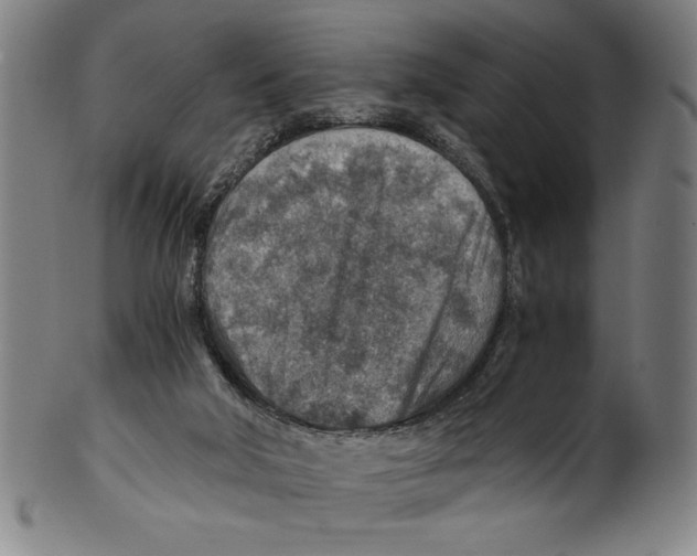 X0000100900018200807221002