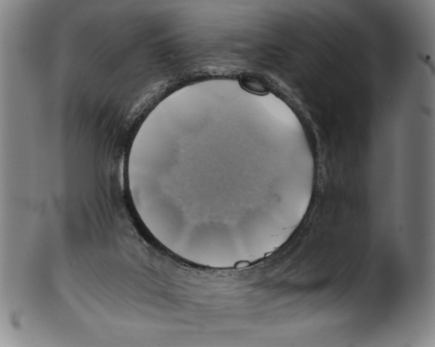 X0000100900019200807221002