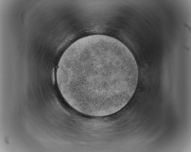 X0000100900020200807221002