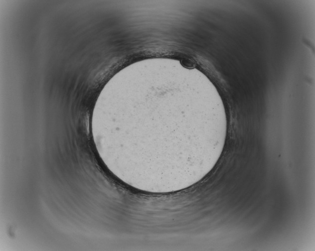 X0000100900021200807221002