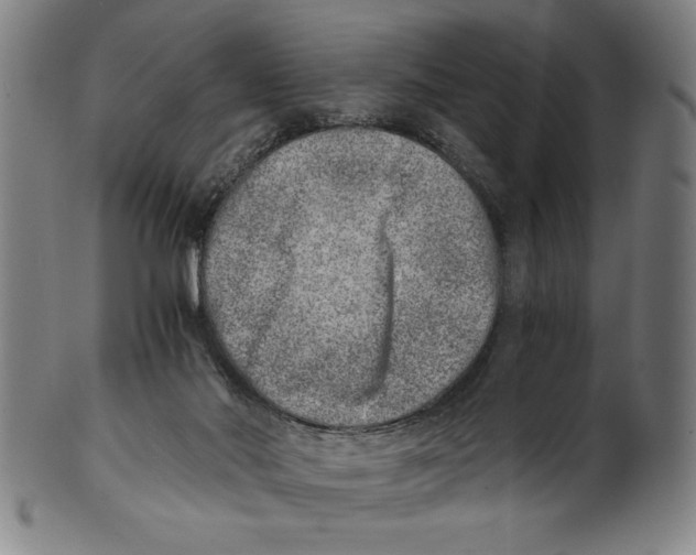 X0000100900022200807221002