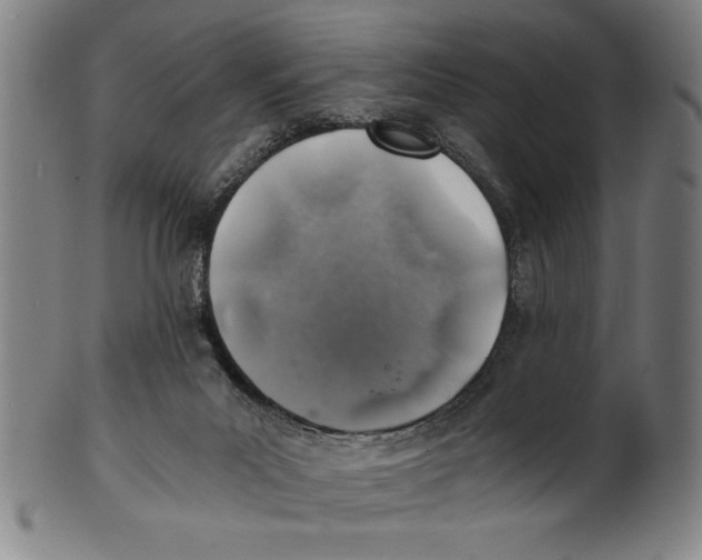 X0000100900023200807221002