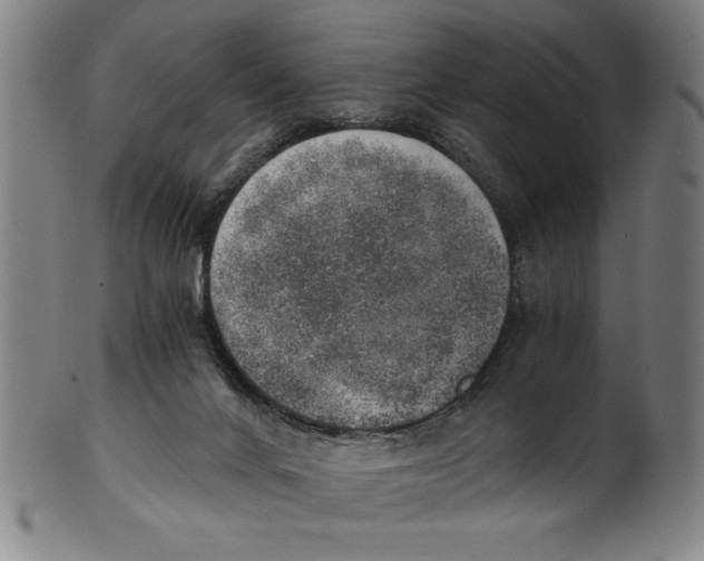 X0000100900024200807221002