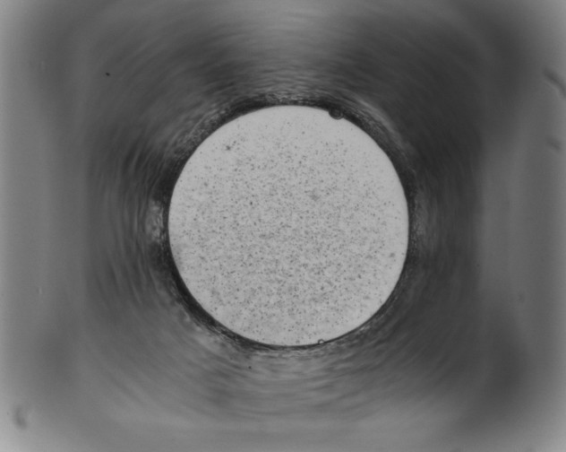 X0000100900025200807221002