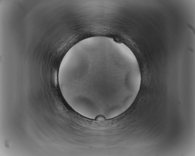 X0000100900027200807221002