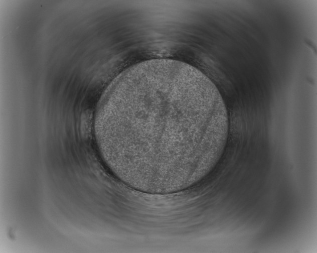 X0000100900030200807221002